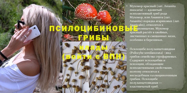 соль ск Балабаново