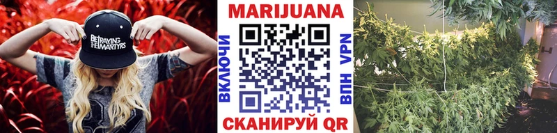 Марихуана сатива  Скопин 